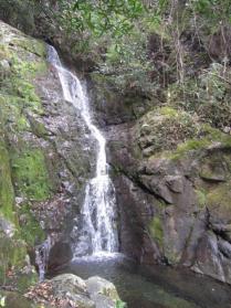 牡丹江林口:加强品牌培育营销 让“奎山粉条”远销海外