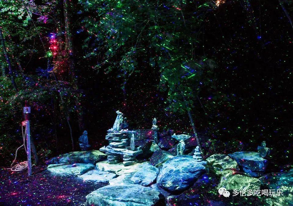 动漫明星竞速赛